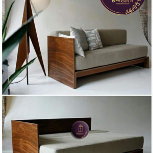 Sofa cum BED- Chitralekha